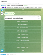 [fi4a.com] Telegram CryptoBot Pay